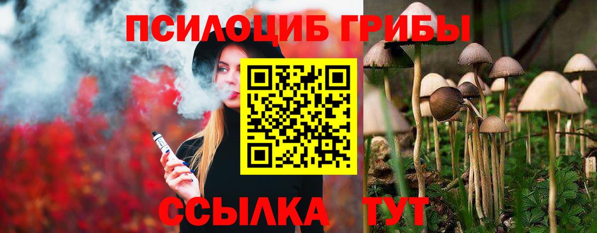 Галлюциногенные грибы GOLDEN TEACHER Феодосия