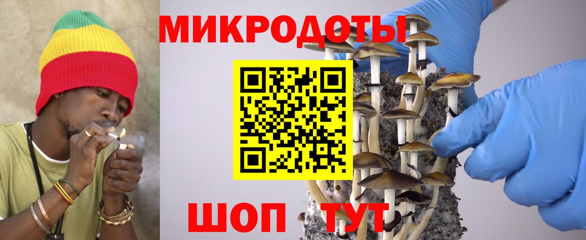 Феодосия  Псилоцибиновые грибы Psilocybine cubensis  Галлюциногенные грибы мицелий  Вход с VPN 